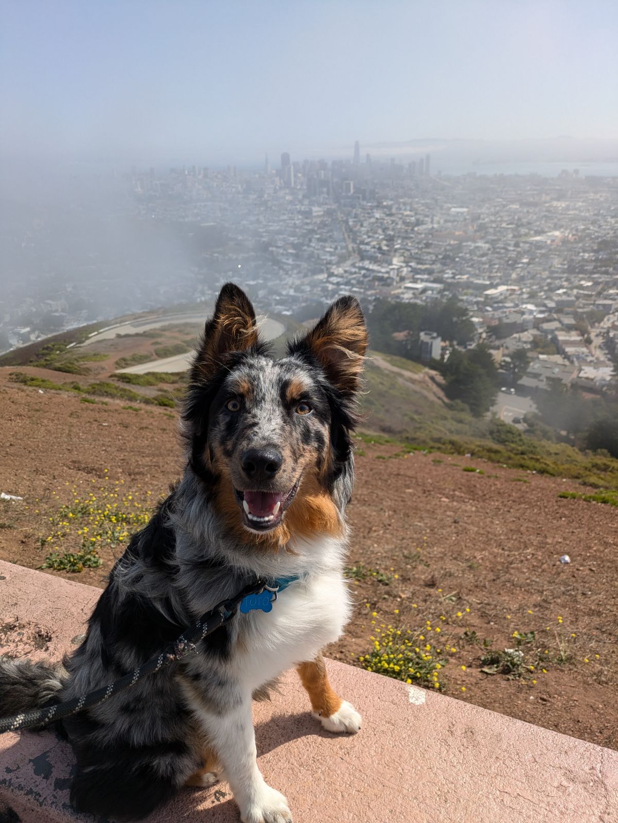 Toto