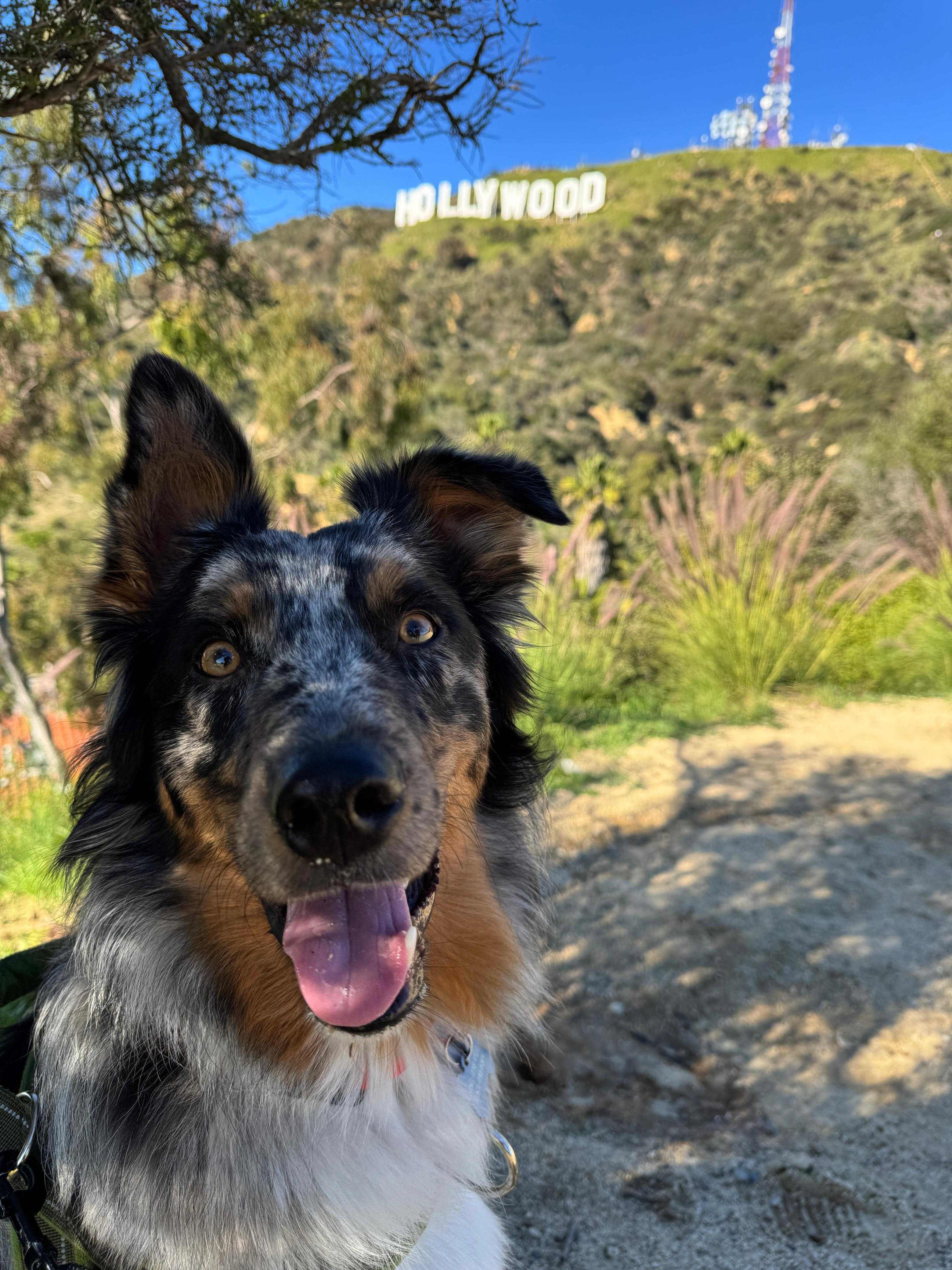 Toto